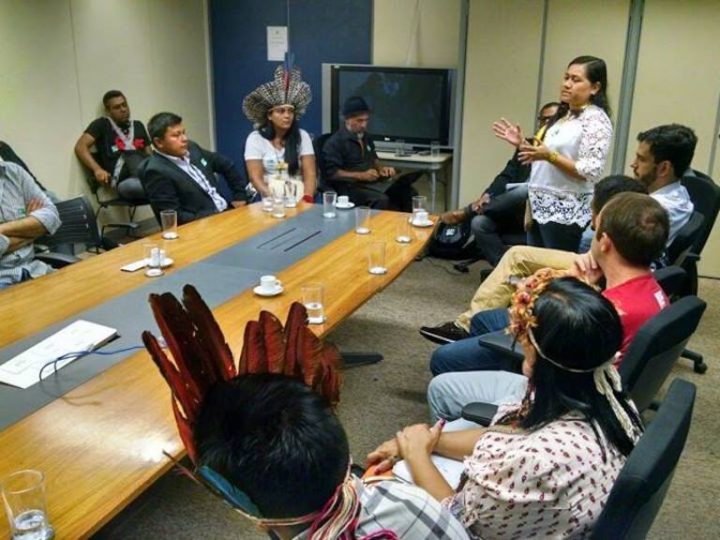 Comin passa a compor o Conselho Nacional de Política Indigenista