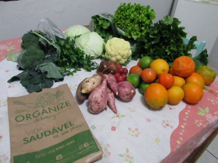Jovens criam empreendimento de entrega de alimentos orgânicos