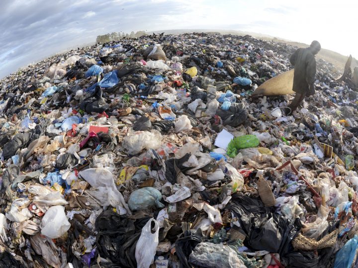 5 de junho – Dia Mundial do Meio Ambiente, dia sem plástico na IECLB